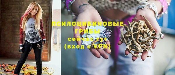 шишки Абдулино
