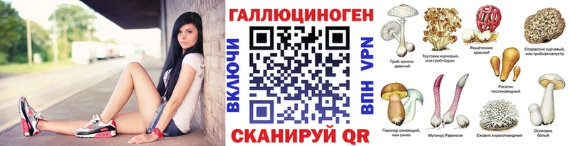 Псилоцибиновые грибы прущие грибы  Лосино-Петровский 