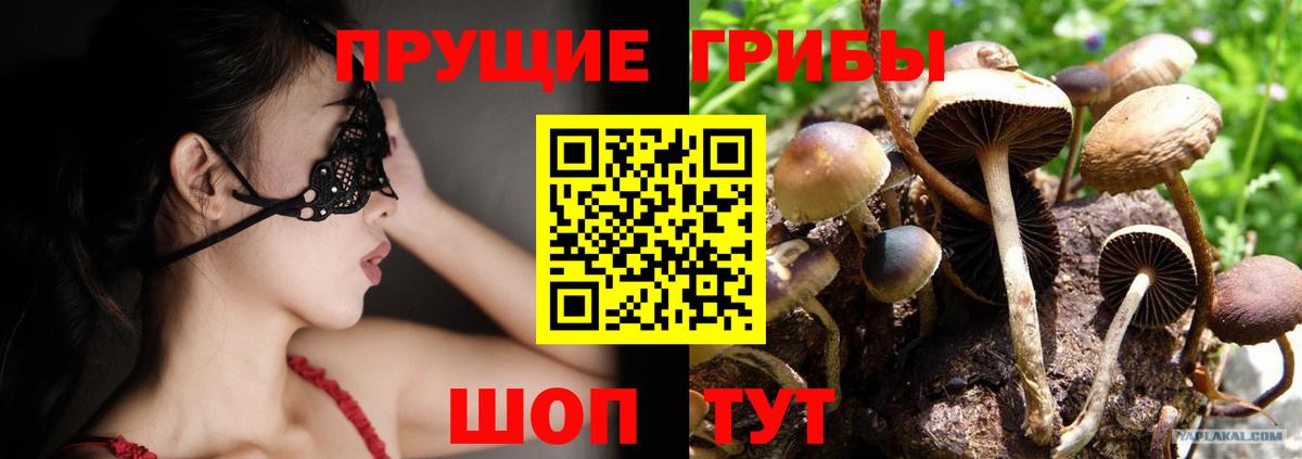 Лосино-Петровский  Псилоцибиновые грибы GOLDEN TEACHER  как найти закладки  Вход с VPN 